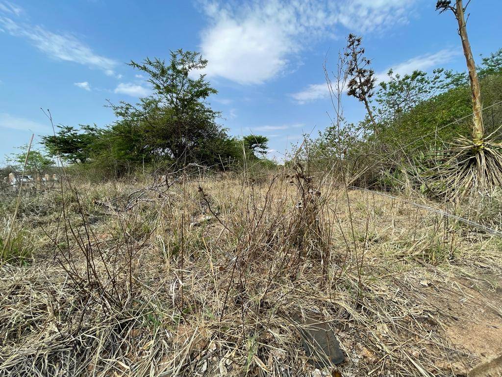 9667 m² Land available in Broadlands photo number 6