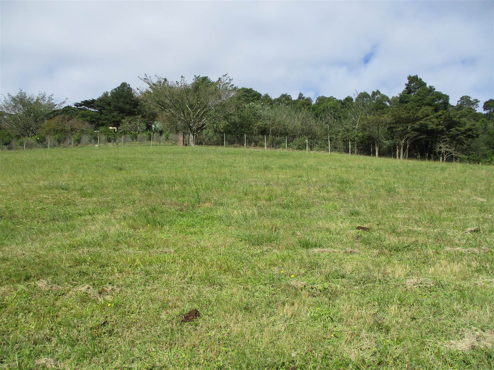 3649 m² Land available in Assagay photo number 2
