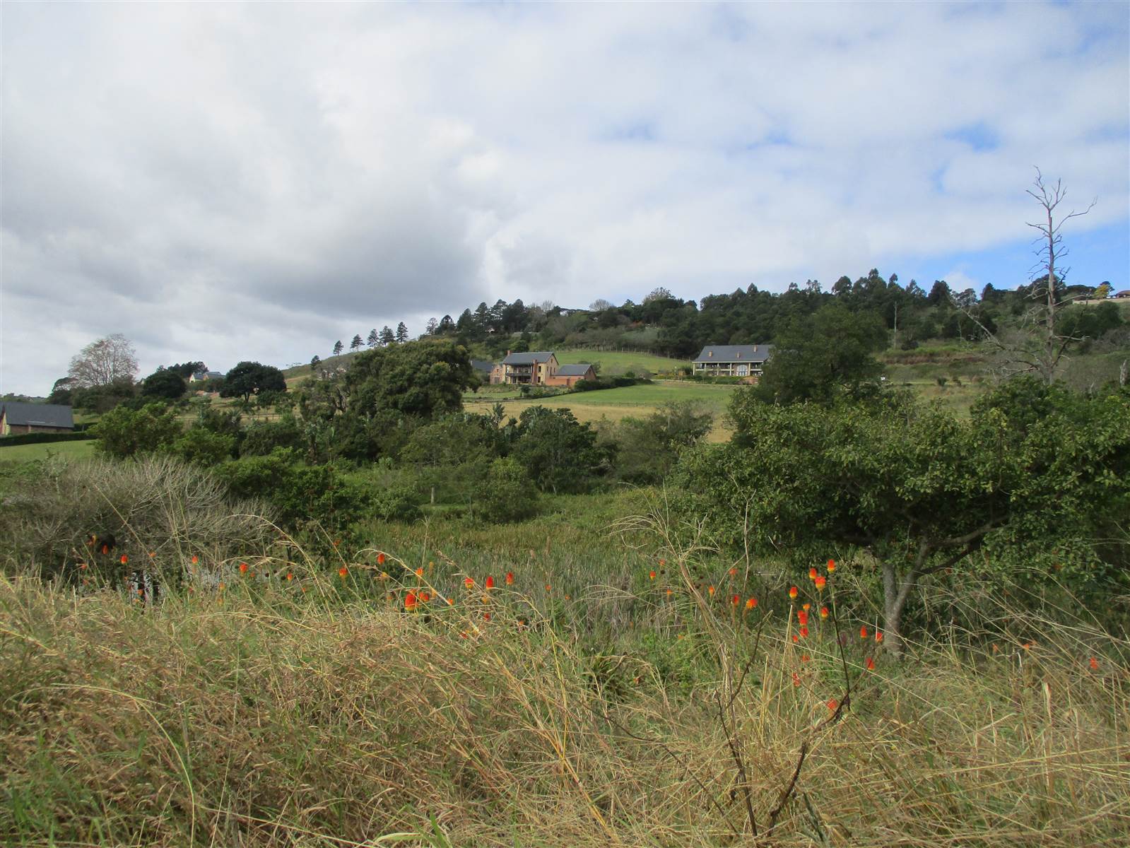 3649 m² Land available in Assagay photo number 7