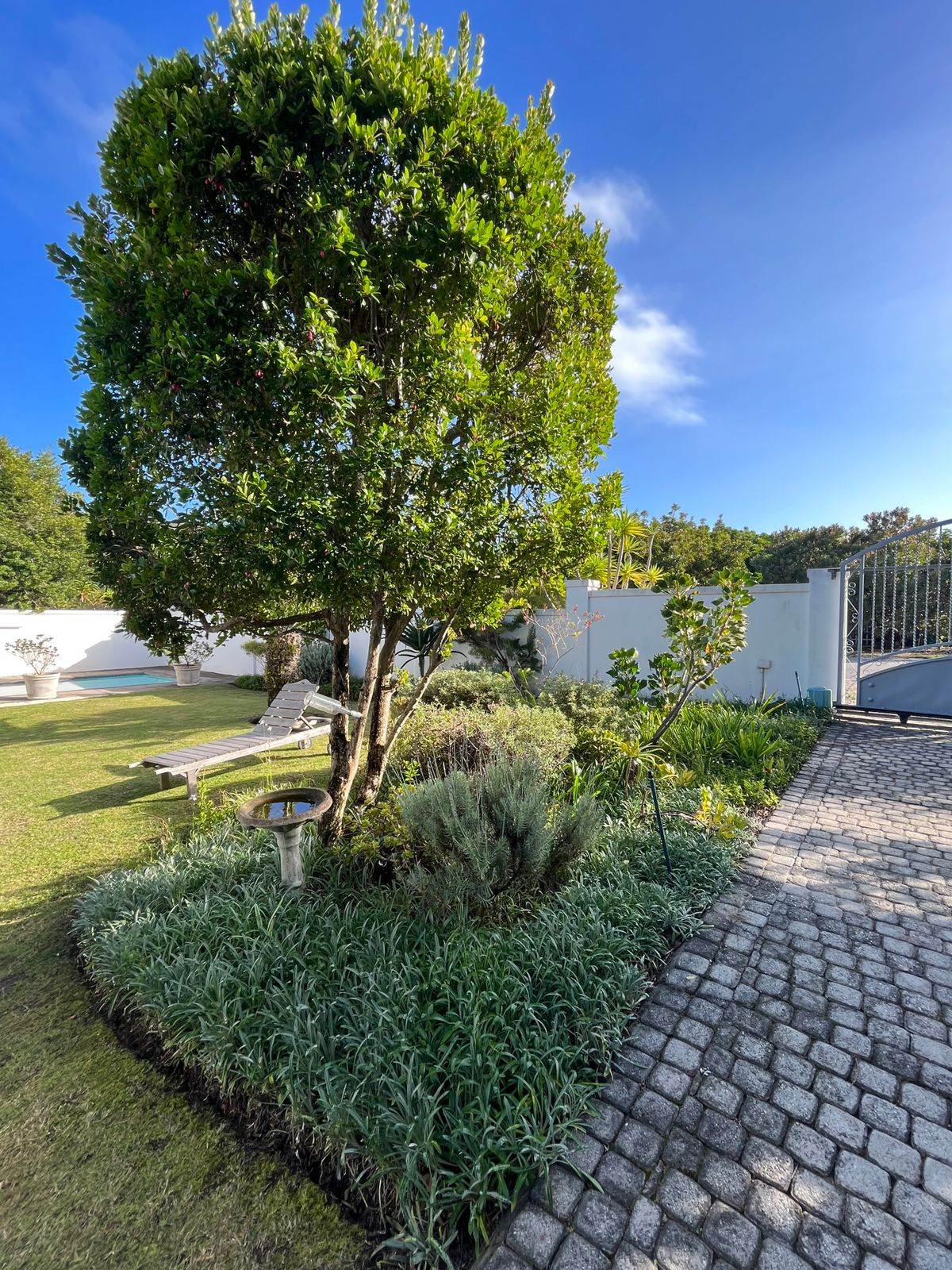 5 Bed House in Plettenberg Bay photo number 8