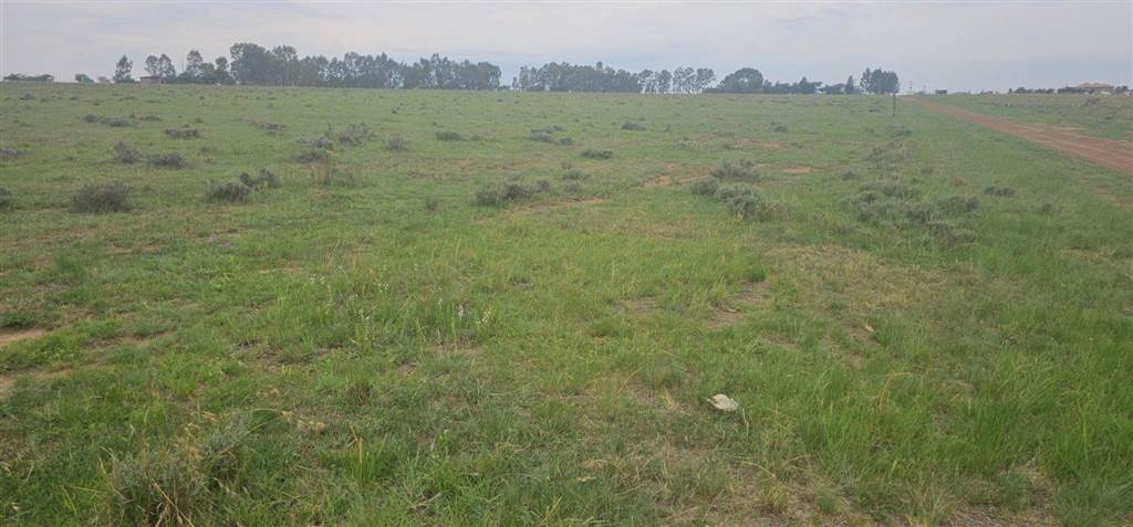3 ha Land available in Nelsonia photo number 6