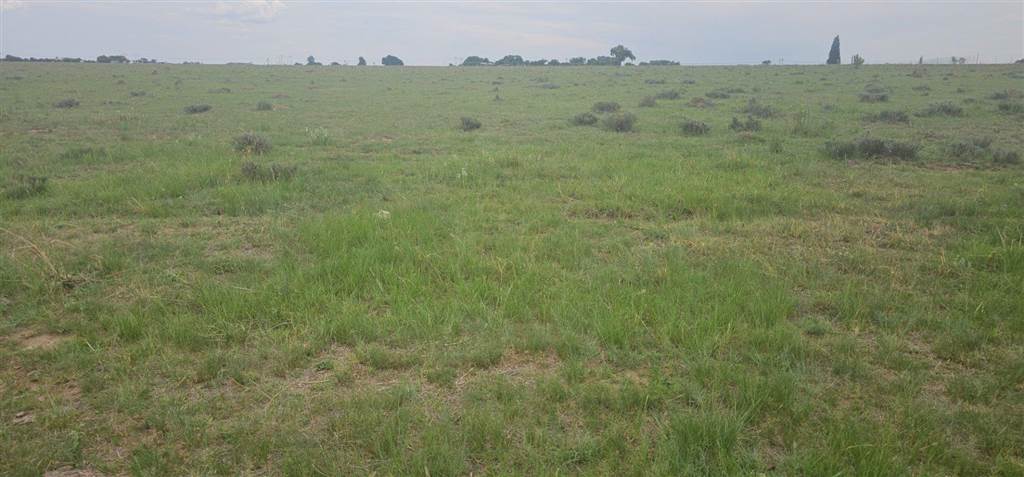 3 ha Land available in Nelsonia photo number 4