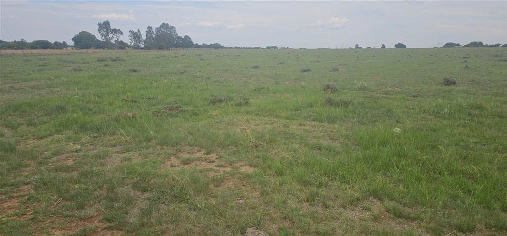 3 ha Land available in Nelsonia photo number 5