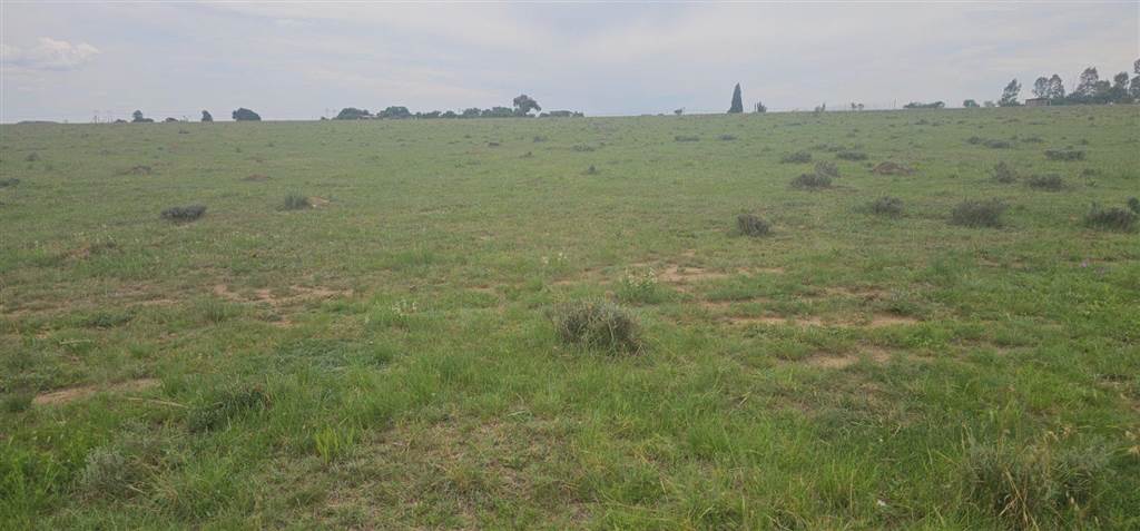 3 ha Land available in Nelsonia photo number 2