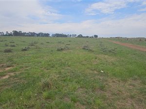 3 ha Land available in Nelsonia
