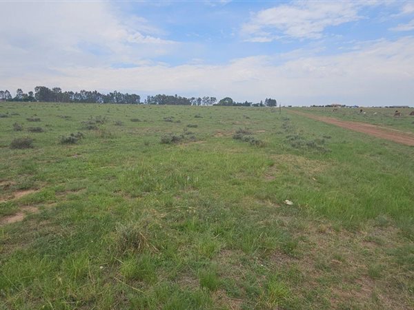3 ha Land available in Nelsonia