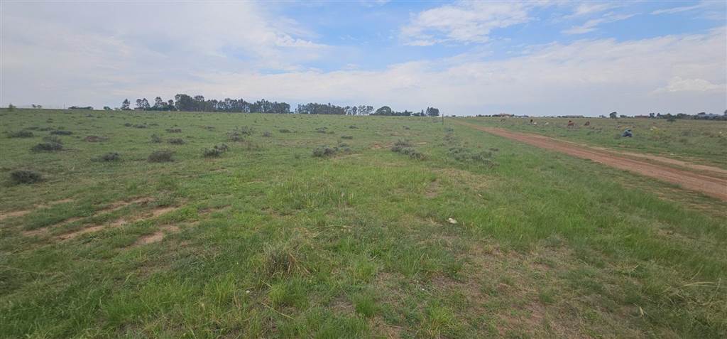 3 ha Land available in Nelsonia photo number 1