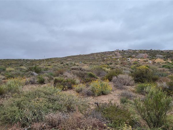 417 m² Land available in St Helena Views