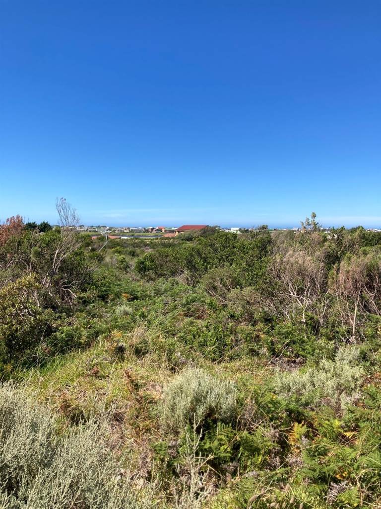 4784 m² Land available in Bettys Bay photo number 3
