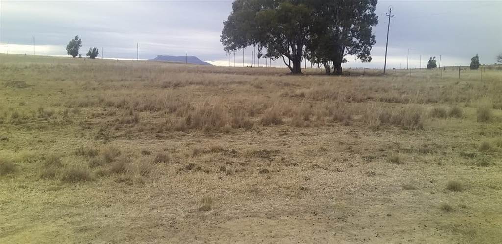 2974 m² Land available in Hobhouse photo number 2
