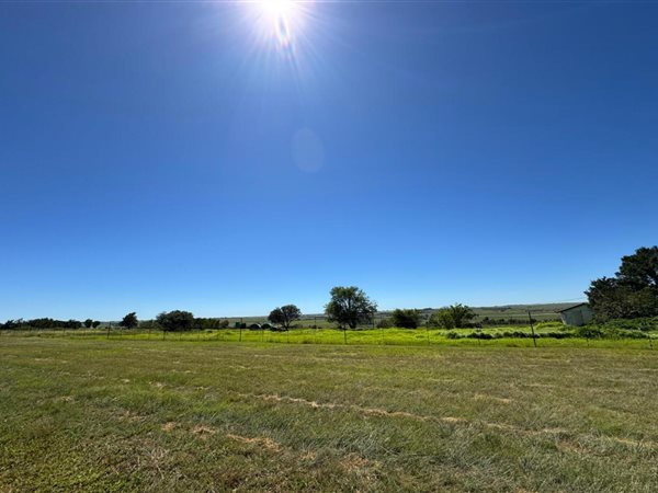 6.5 ha Smallholding