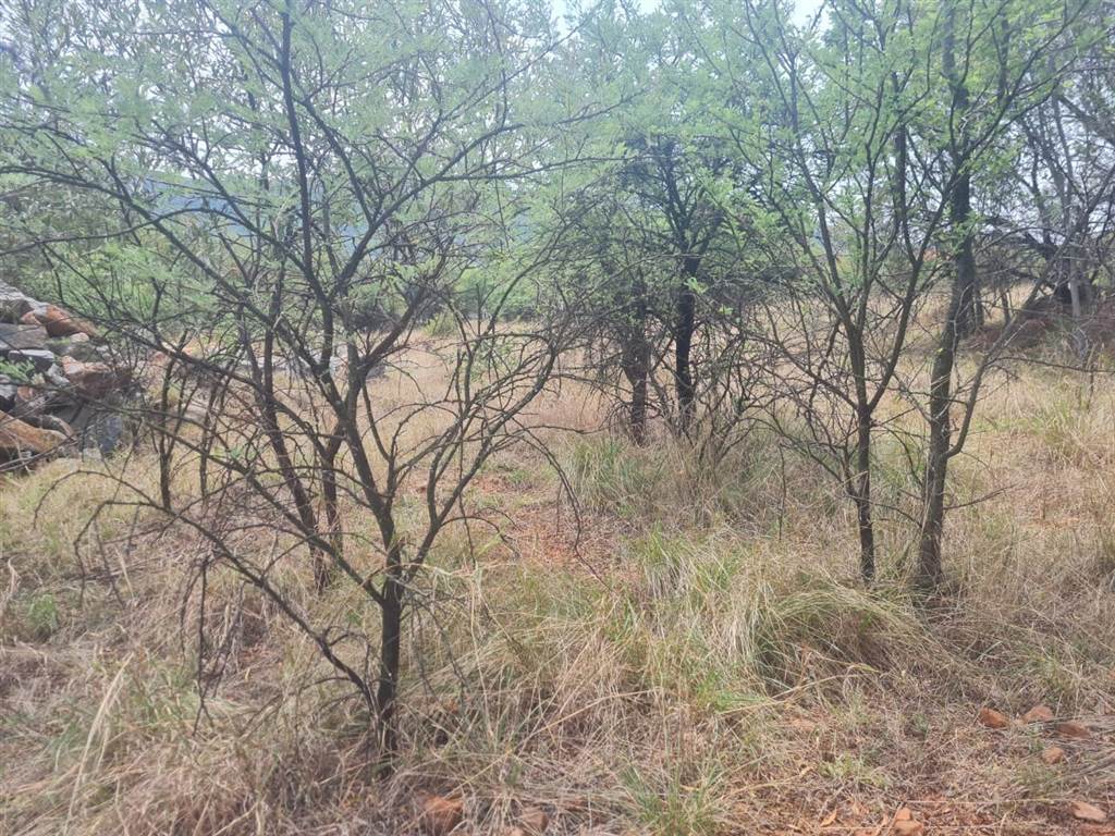 751 m² Land available in Leloko photo number 3