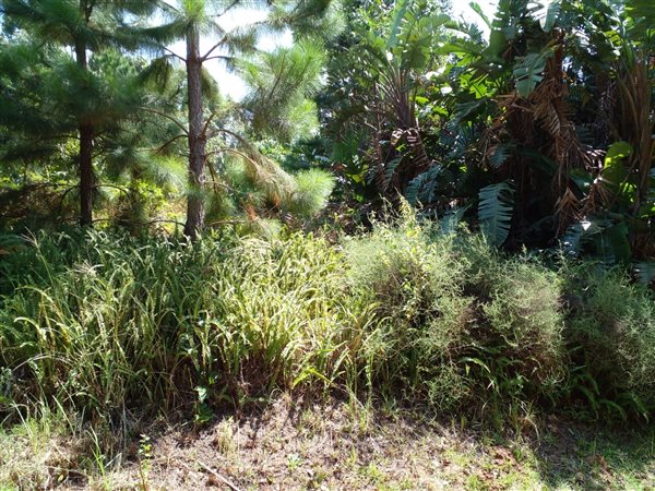 1281 m² Land available in Port Edward