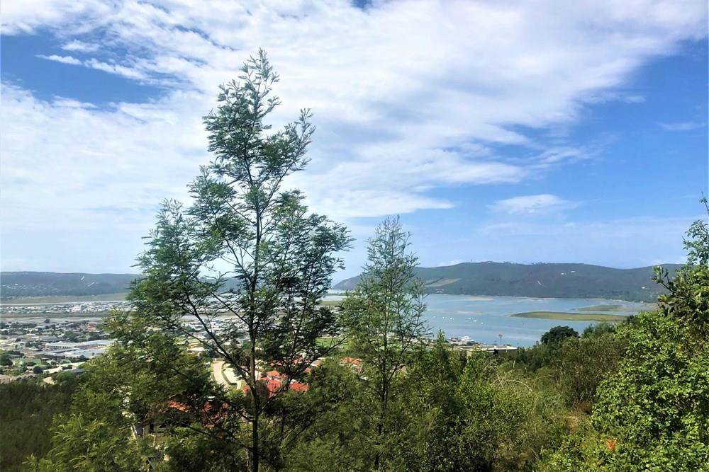 810 m² Land available in Knysna Heights photo number 8