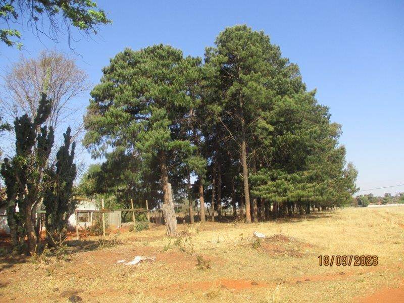 1 ha Farm in Witbank Central photo number 26