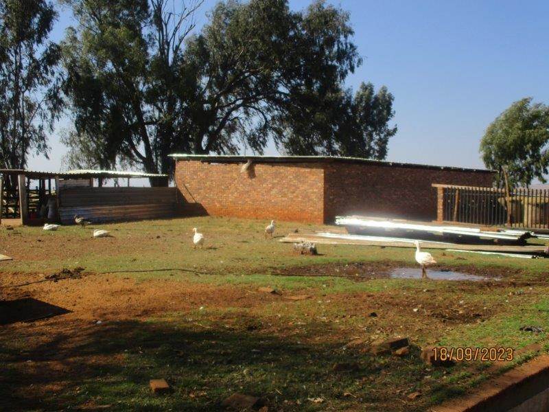 1 ha Farm in Witbank Central photo number 24