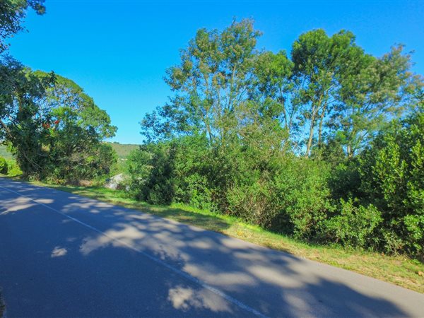 1797 m² Land available in Knysna Central