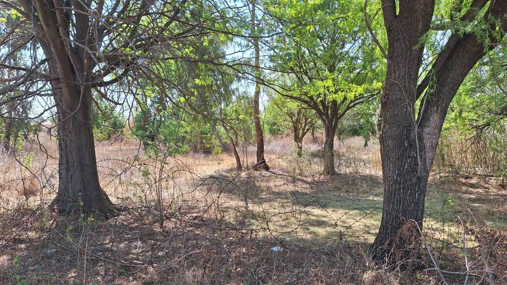 2.2 ha Land available in Endicott photo number 1