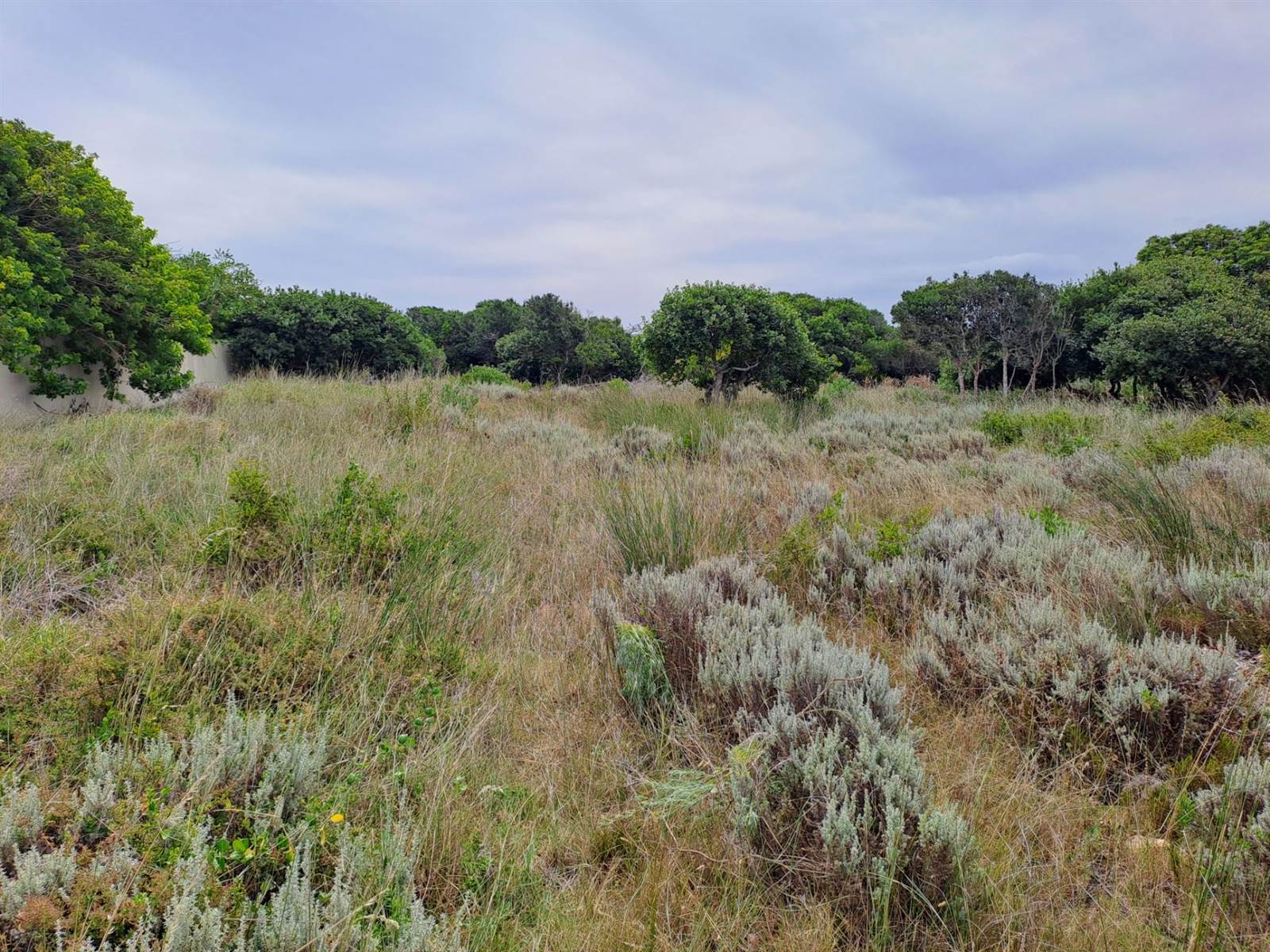 814 m² Land available in Stilbaai photo number 2