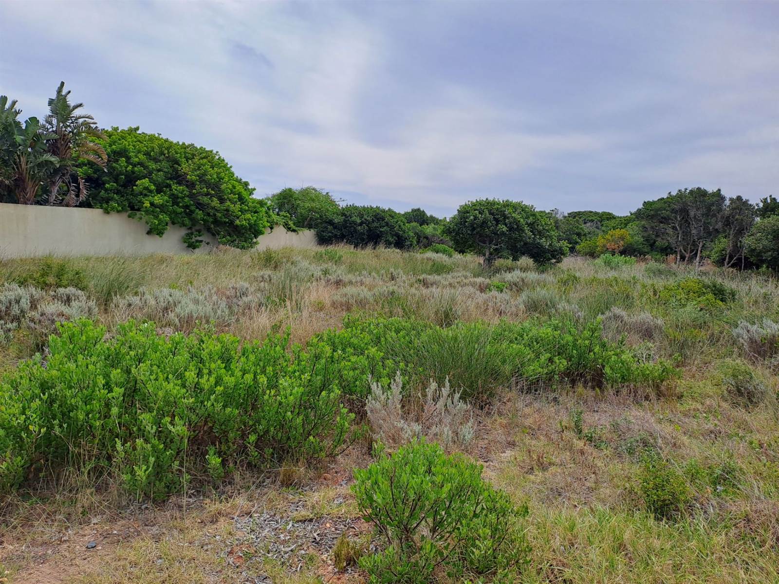 814 m² Land available in Stilbaai photo number 1