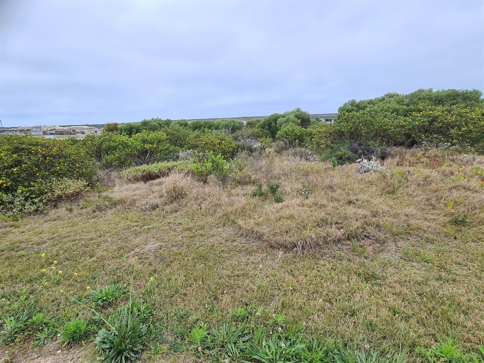 1300 m² Land available in Mossel Bay Central photo number 6
