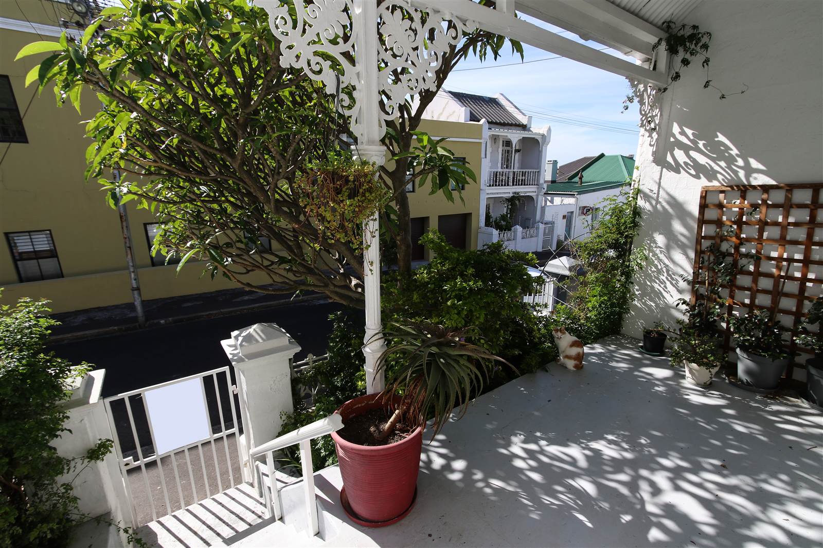3 Bed House in Vredehoek photo number 3