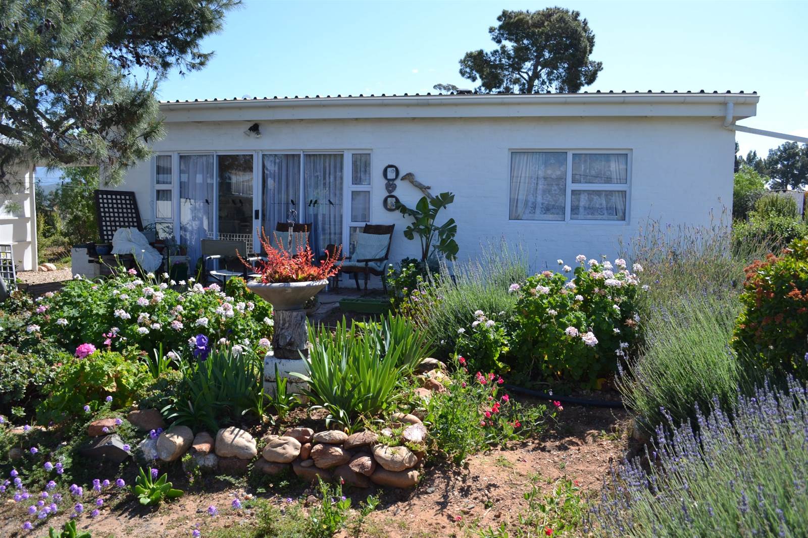 2 Bed House in Calitzdorp photo number 12