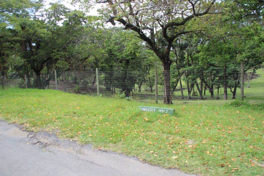 5430 m² Land available in Southbroom photo number 2