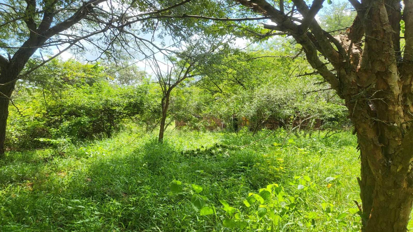 2190 m² Land available in Marloth Park photo number 7