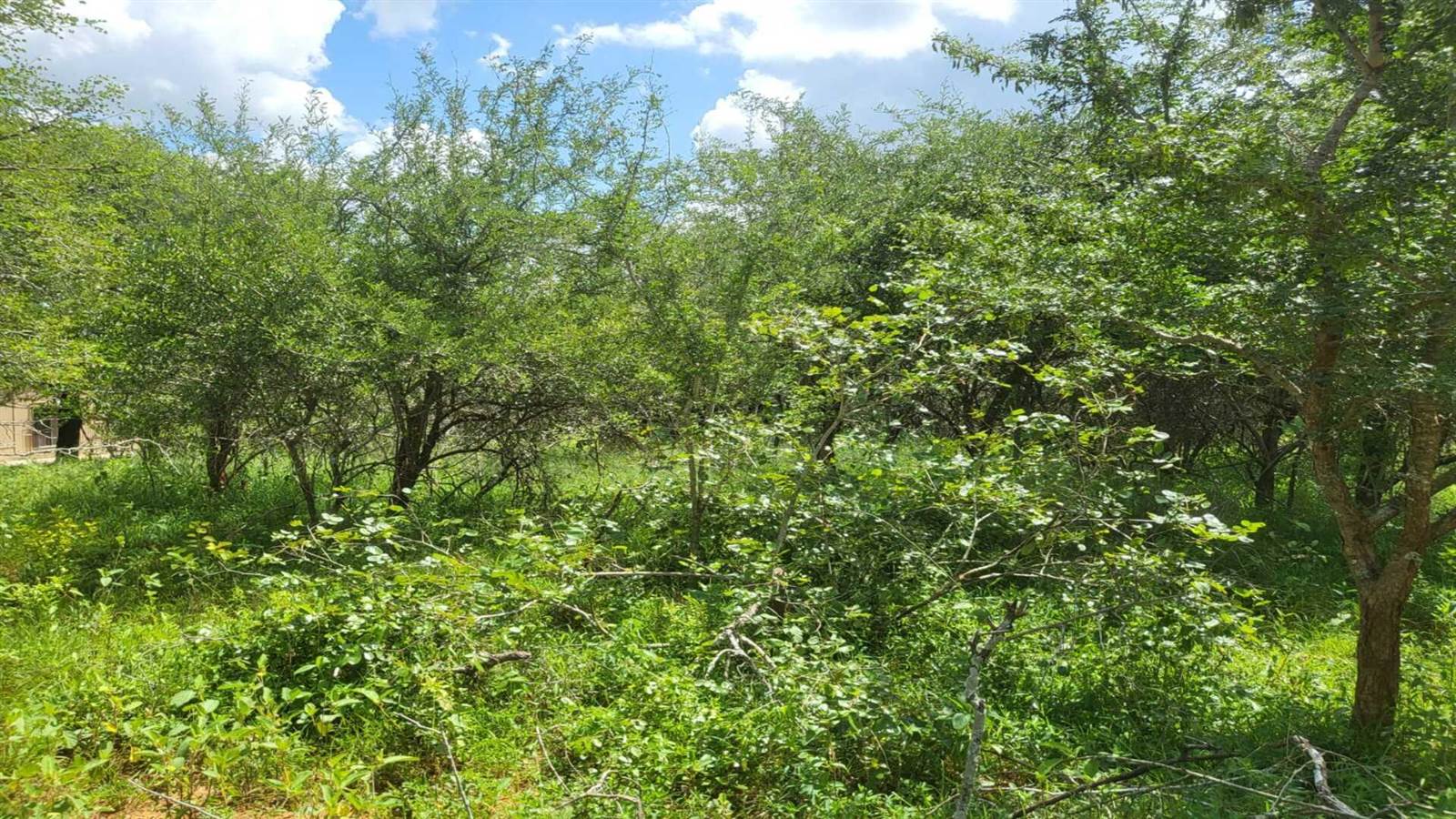 2190 m² Land available in Marloth Park photo number 5