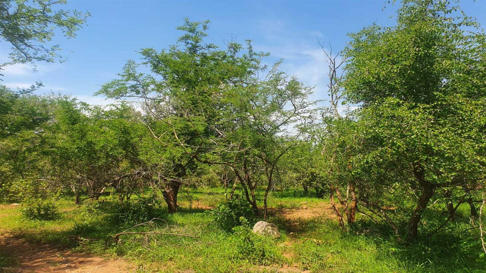 2190 m² Land available in Marloth Park photo number 1