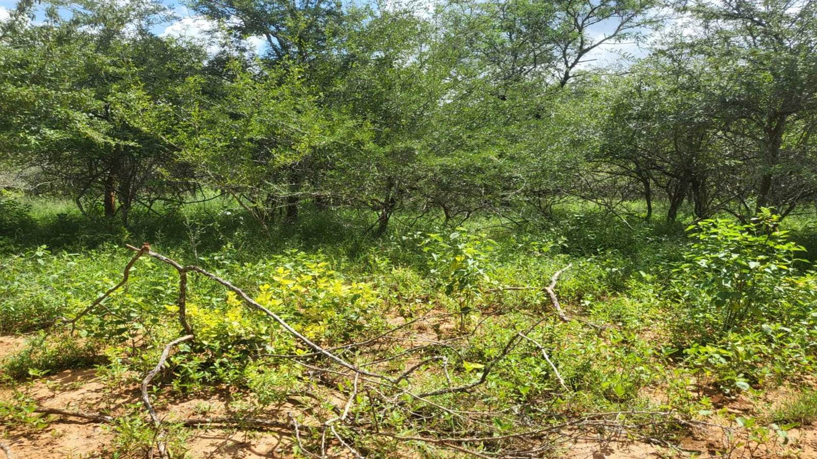 2190 m² Land available in Marloth Park photo number 2