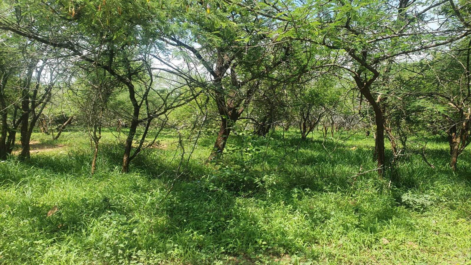 2190 m² Land available in Marloth Park photo number 11