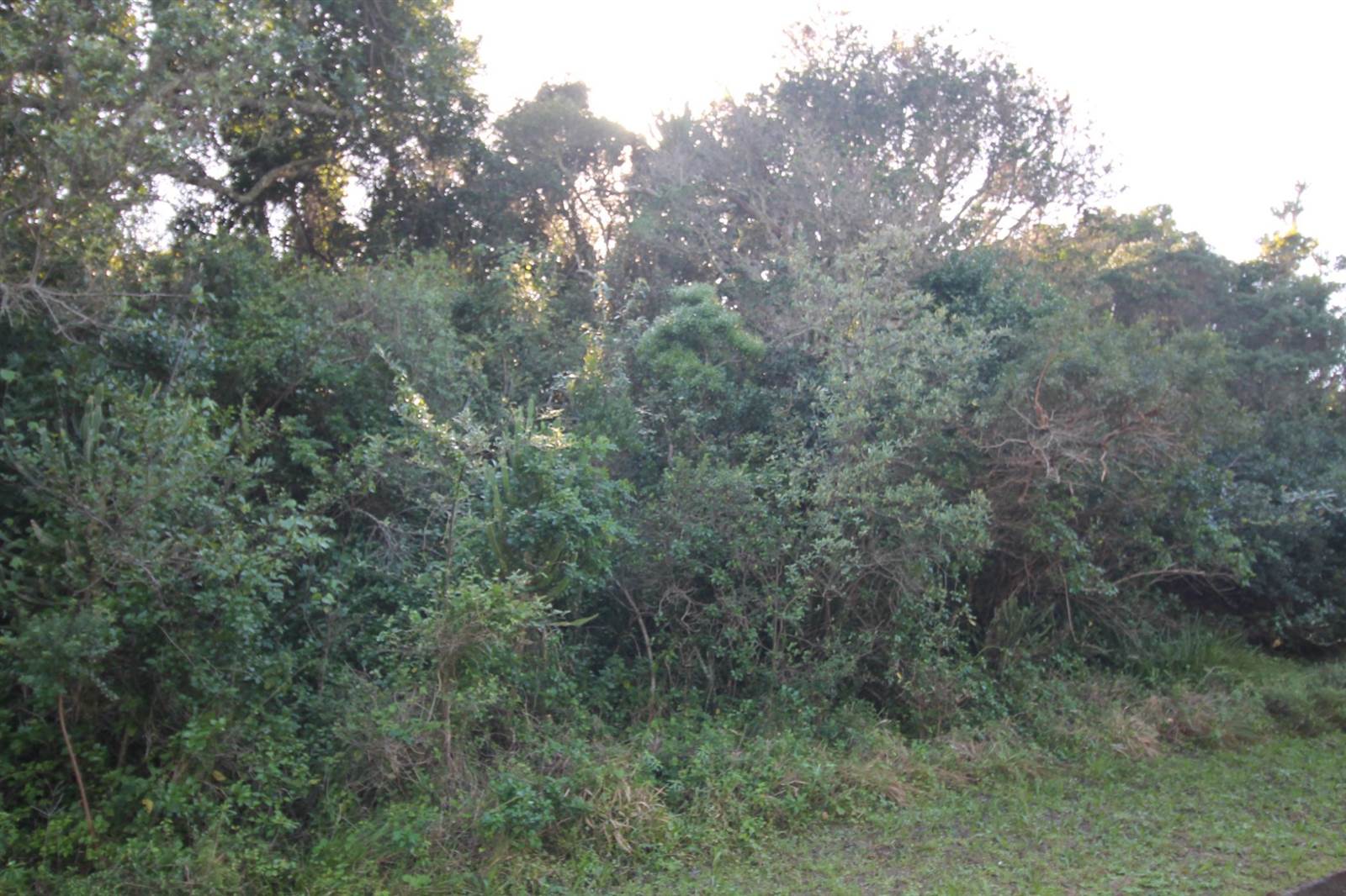 702 m² Land available in Seafield photo number 4