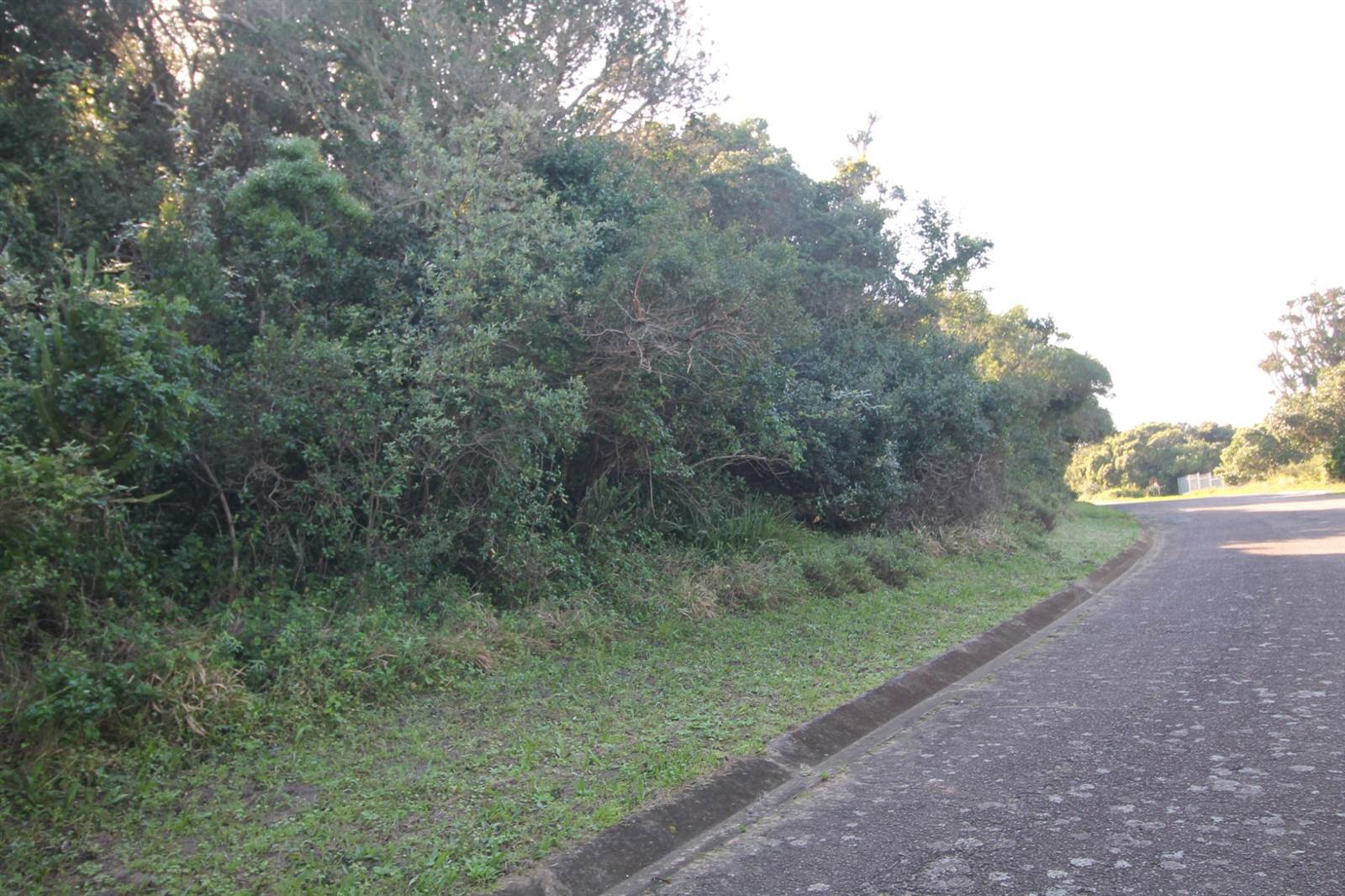 702 m² Land available in Seafield photo number 2