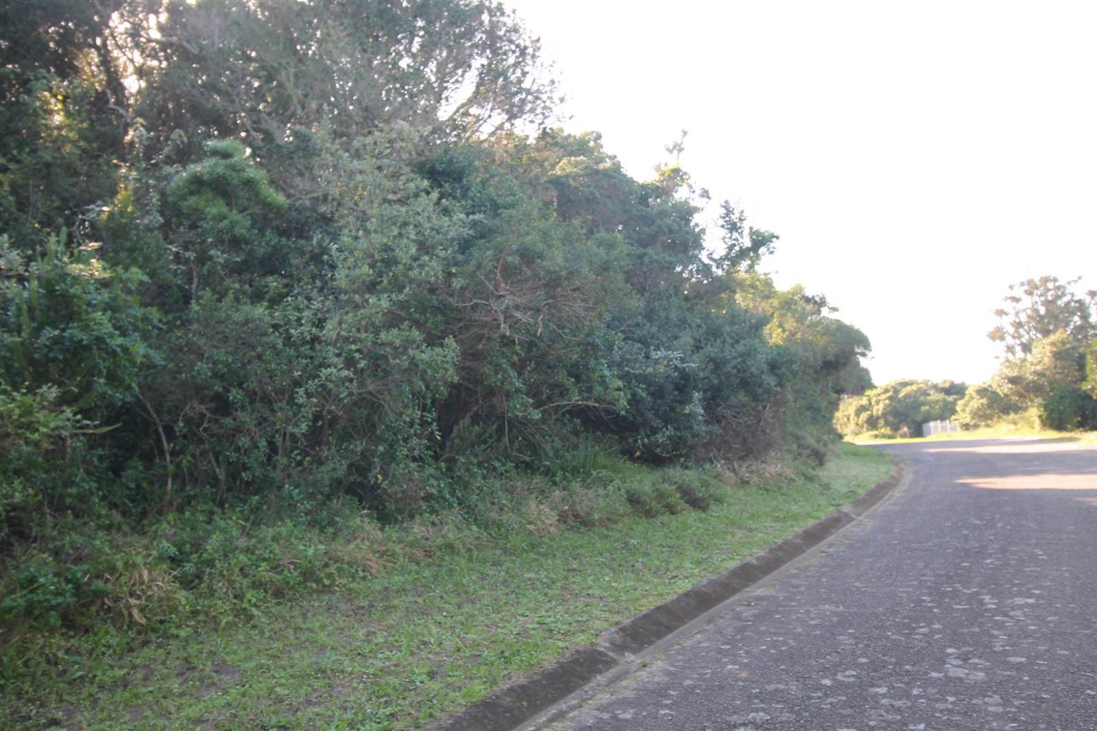 702 m² Land available in Seafield photo number 3