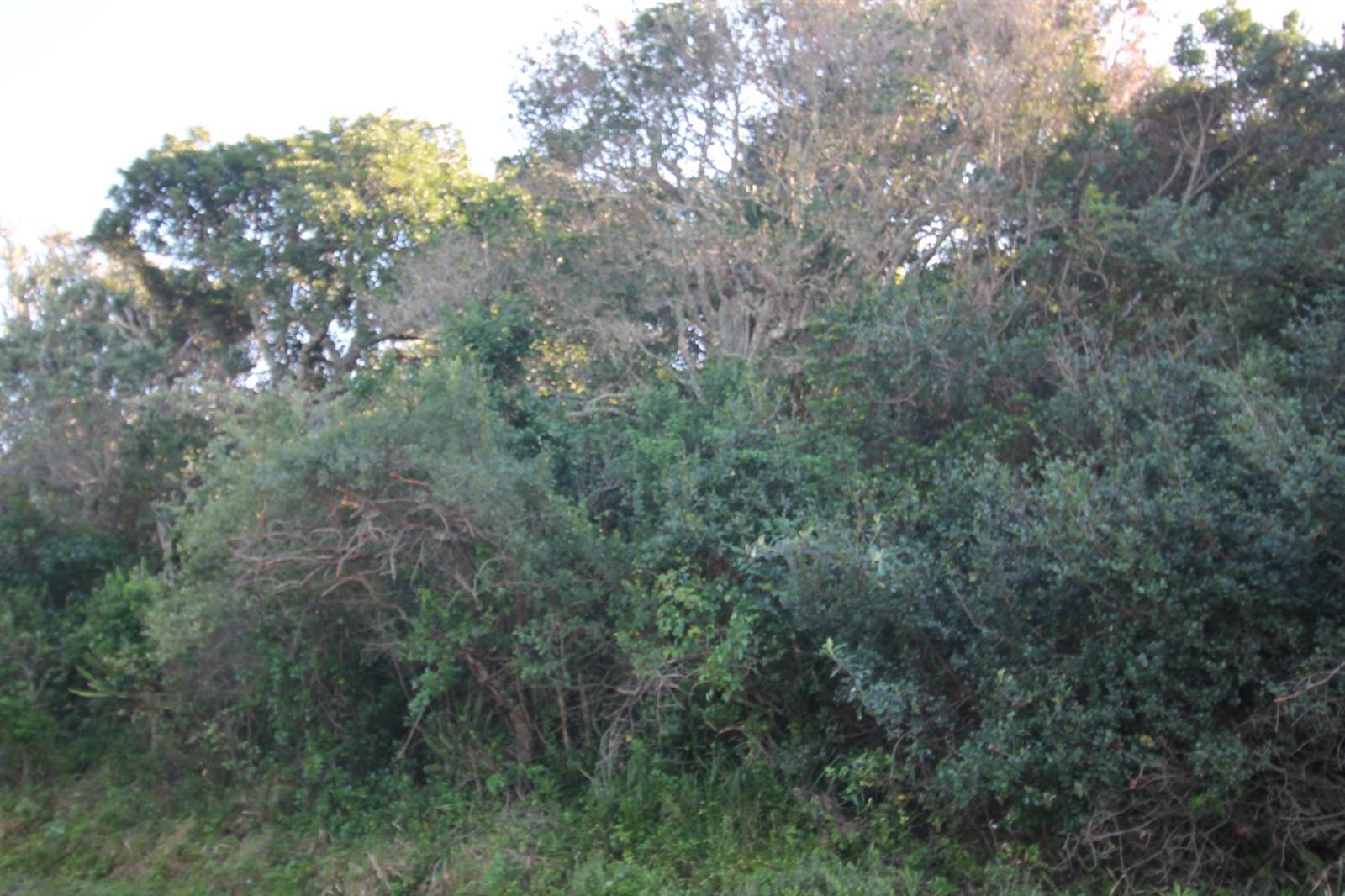 702 m² Land available in Seafield photo number 5