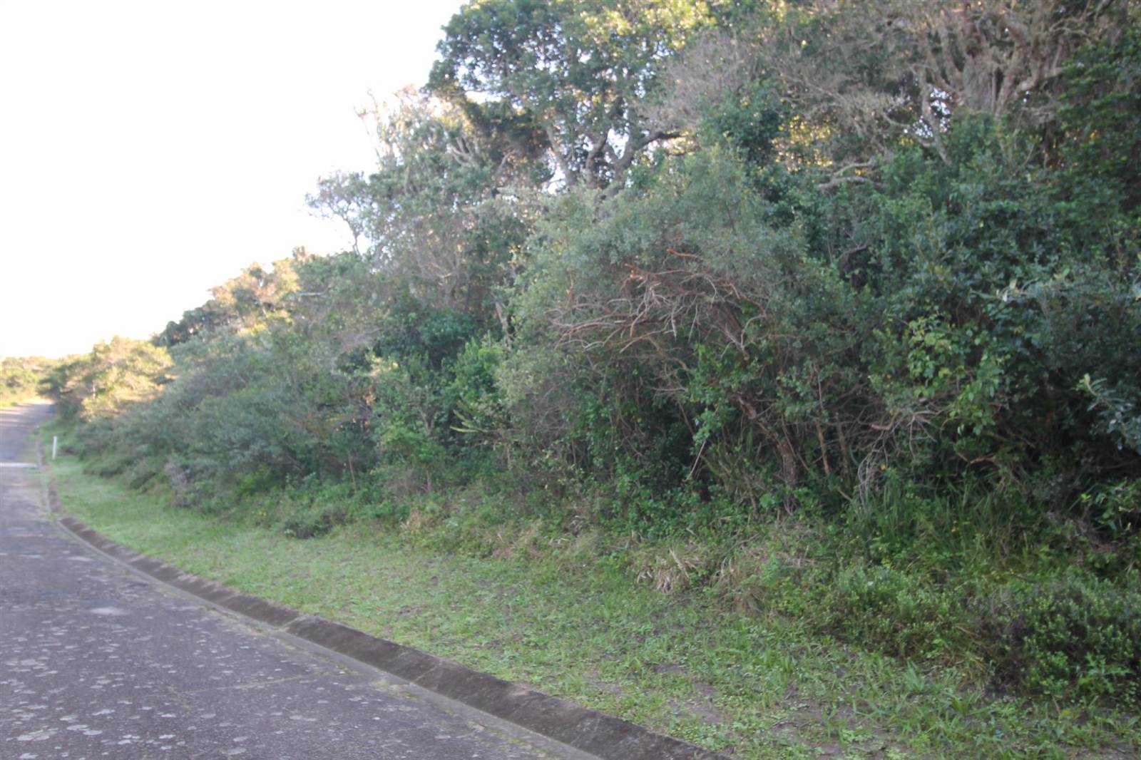 702 m² Land available in Seafield photo number 1