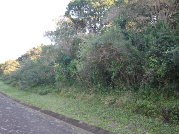 702 m² Land available in Seafield