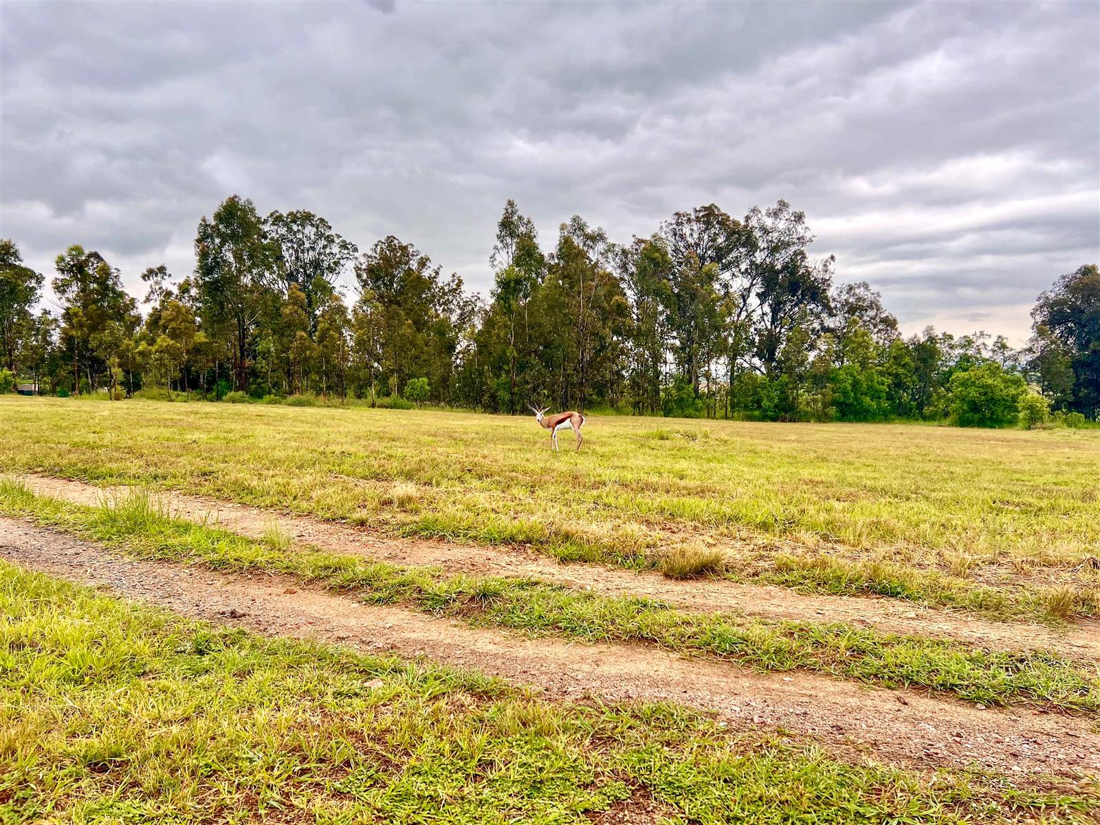 2869 m² Land available in Blair Atholl Estate photo number 8