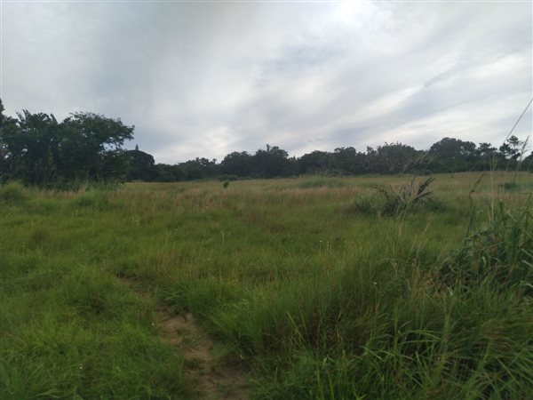 3735 m² Land available in Palm Beach