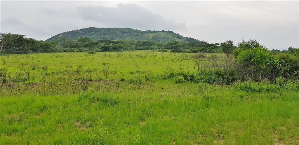 15 ha Land available in Nelspruit Central photo number 13
