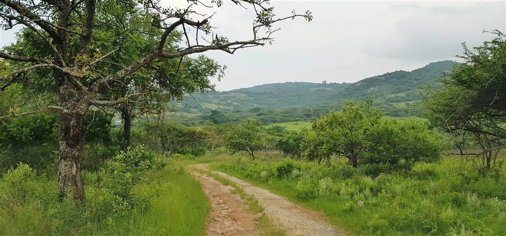 15 ha Land available in Nelspruit Central photo number 6