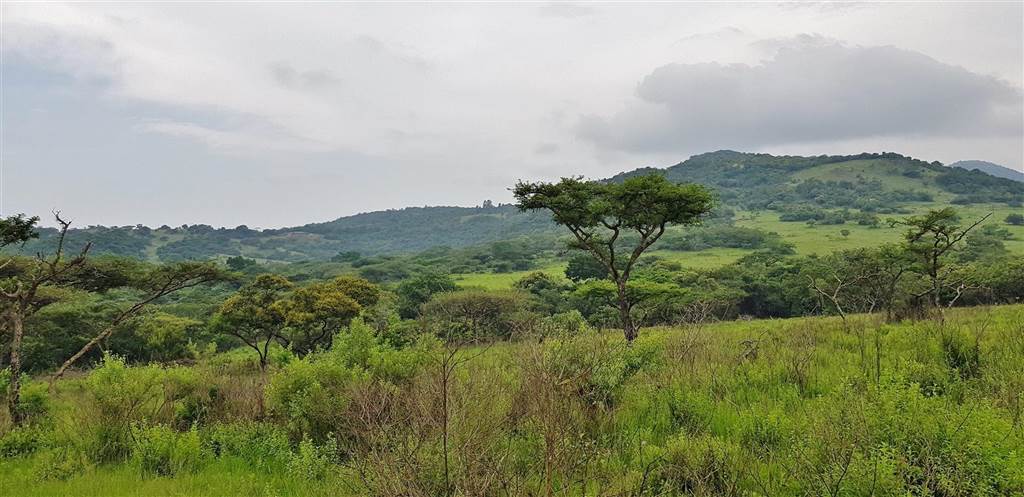 15 ha Land available in Nelspruit Central photo number 12