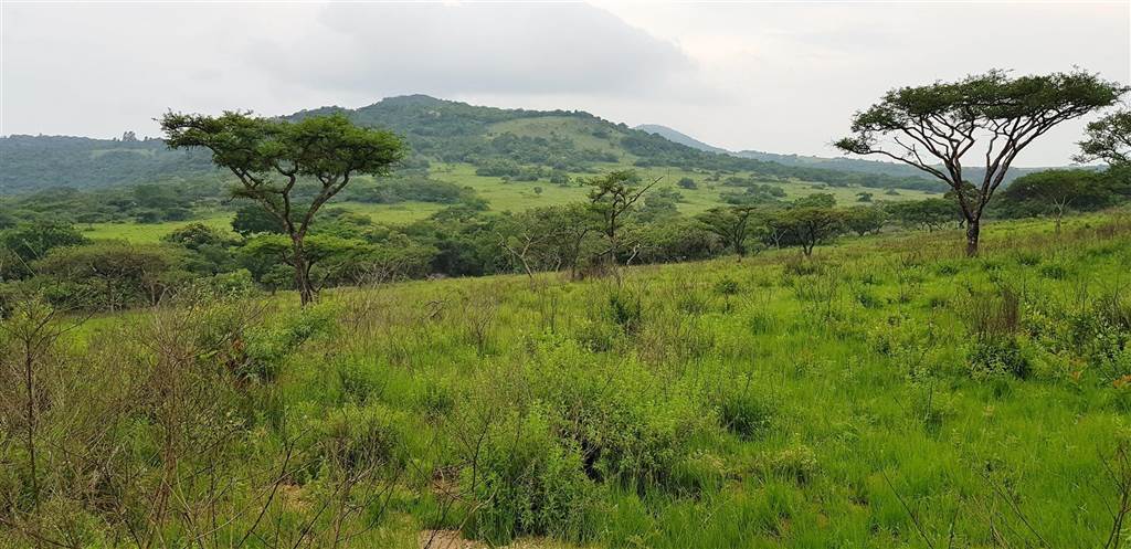 15 ha Land available in Nelspruit Central photo number 9