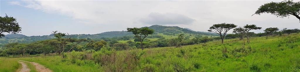 15 ha Land available in Nelspruit Central photo number 5
