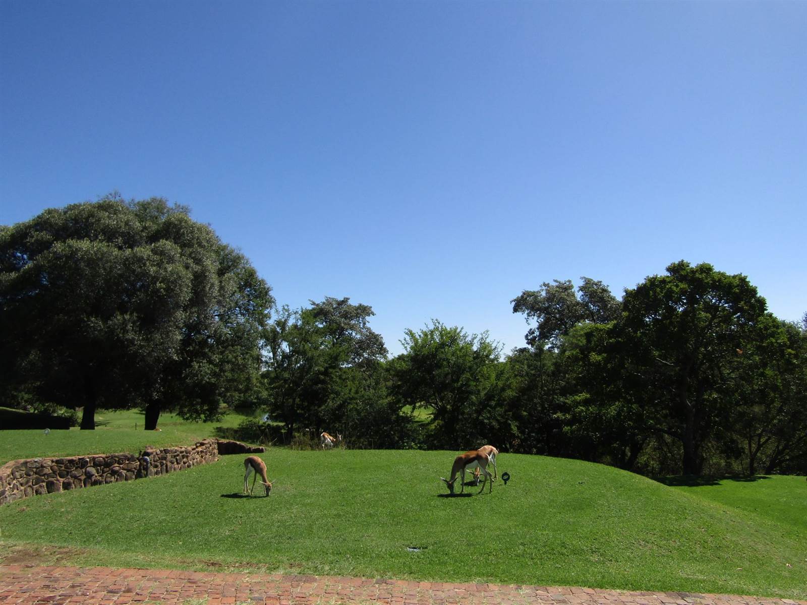 357 m² Land available in Seasons Lifestyle Estate photo number 4