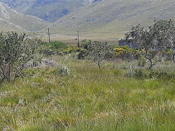 1271 m² Land available in Bettys Bay
