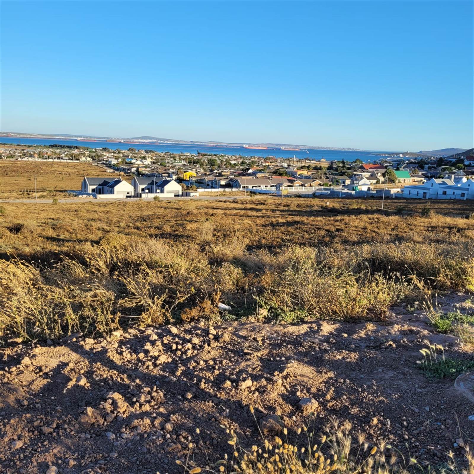 556 m² Land available in Saldanha photo number 2