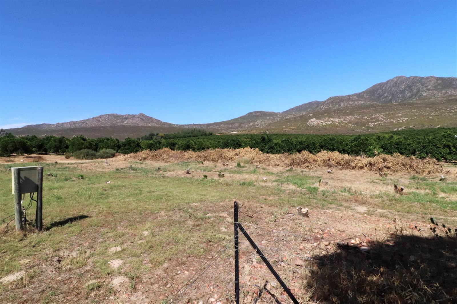 3.1 ha Smallholding in Citrusdal photo number 19